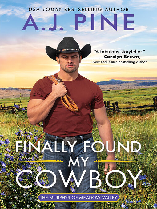 Title details for Finally Found My Cowboy by A.J. Pine - Wait list